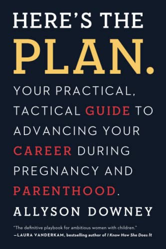 Here's the Plan.: Your Practical, Tactical Guide to Advancing Your Career Du [Paperback]