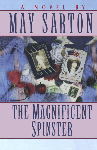 The Magnificent Spinster [Paperback]