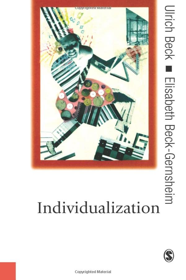 Individualization Institutionalized Individualism and its Social and Political  [Paperback]