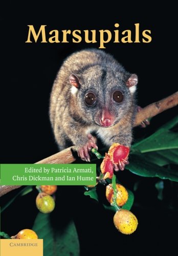 Marsupials [Paperback]