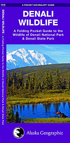 Denali Wildlife: A Folding Pocket Guide to the Wildlife of Denali National Park  [Pamphlet]