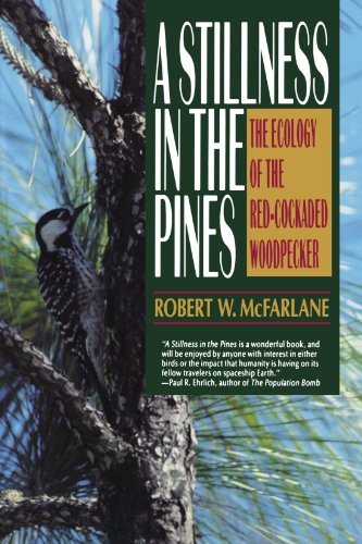 A Stillness in the Pines The Ecology of the Red Cockaded Woodpecker [Paperback]