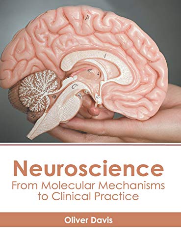 Neuroscience From Molecular Mechanisms to Clinical Practice [Hardcover]