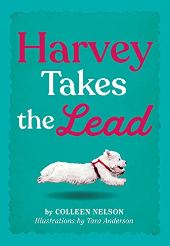 Harvey Takes the Lead [Hardcover]