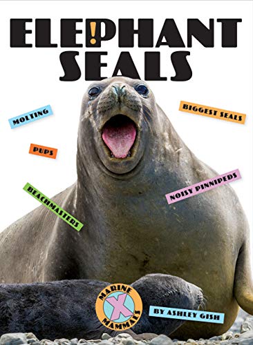 Elephant Seals [Paperback]