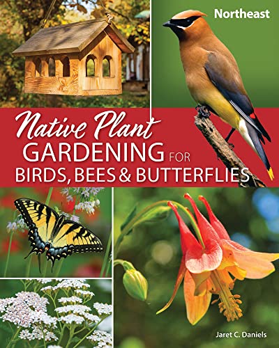 Native Plant Gardening for Birds, Bees & Butterflies: Northeast [Paperback]