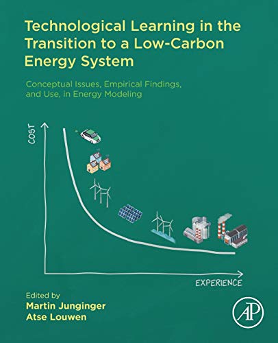 Technological Learning in the Transition to a Lo-Carbon Energy System Conceptu [Paperback]