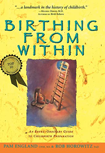 Birthing from Within: An Extra-Ordinary Guide to Childbirth Preparation [Paperback]