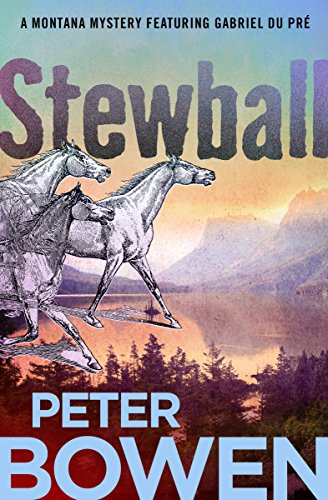 Steball [Paperback]