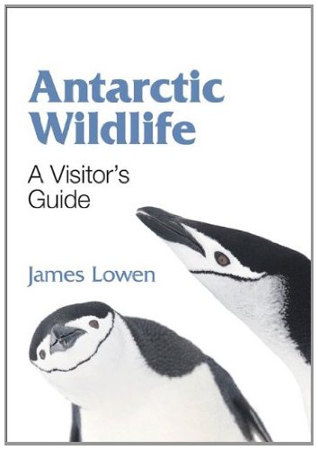 Antarctic Wildlife A Visitor's Guide [Paperback]