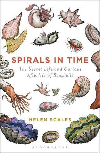 Spirals in Time: The Secret Life and Curious Afterlife of Seashells [Paperback]