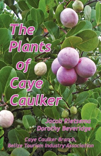 The Plants Of Caye Caulker [Paperback]