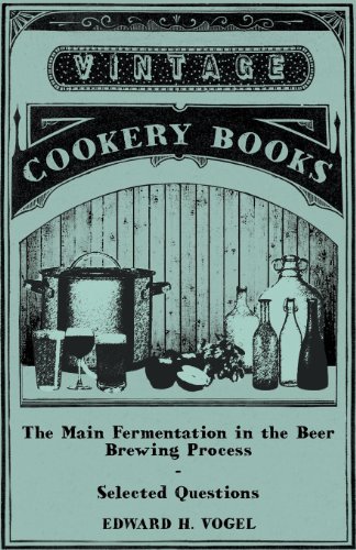 Main Fermentation in the Beer Breing Process - Selected Questions [Paperback]