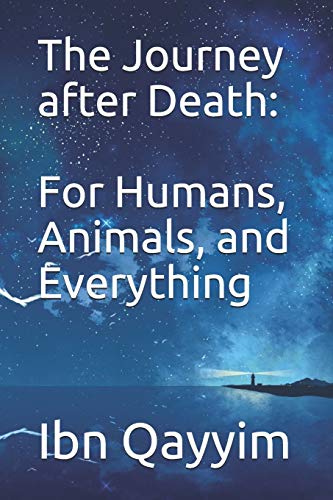 Journey after Death [Paperback]