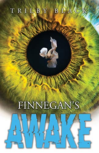 Finnegan's Aake [Paperback]