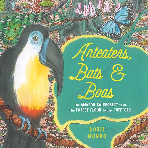 Anteaters, Bats & Boas: The Amazon Rainforest from the Forest Floor to the T [Paperback]