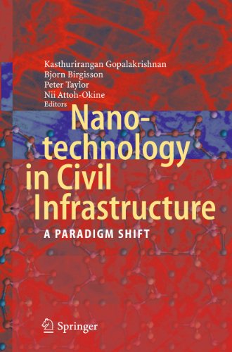 Nanotechnology in Civil Infrastructure: A Paradigm Shift [Paperback]