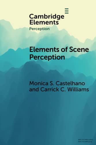 Elements of Scene Perception [Paperback]