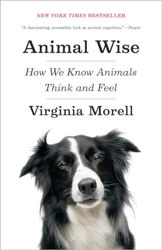 Animal Wise: How We Know Animals Think and Feel [Paperback]