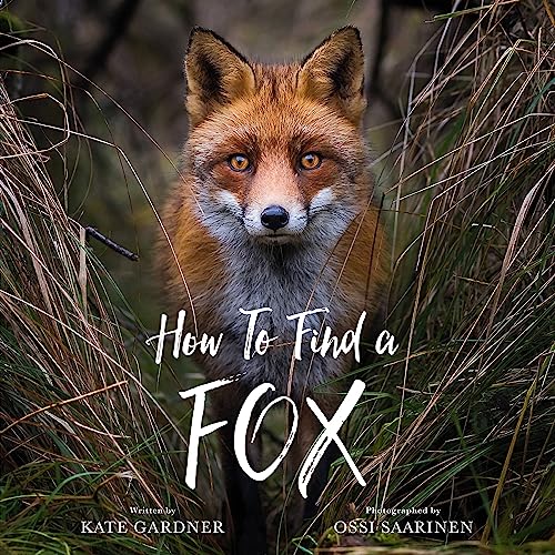 How to Find a Fox [Hardcover]