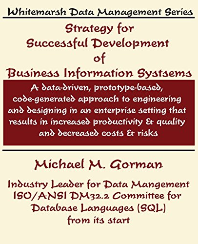 Strategy For Successful Development Of Information Systems [Paperback]