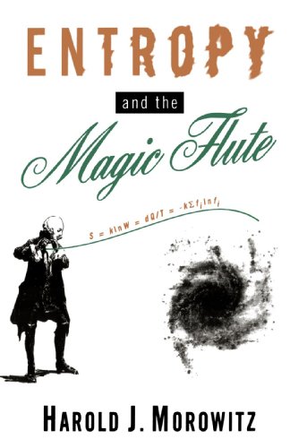 Entropy and the Magic Flute [Paperback]