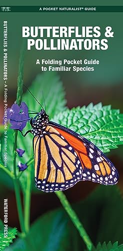 Butterflies & Pollinators: A Folding Pocket Guide to Familiar Species [Pamphlet]