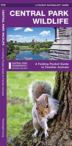 Central Park Wildlife: A Folding Pocket Guide to Familiar Species [Pamphlet]