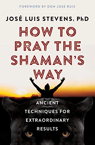 How to Pray the Shaman's Way: Ancient Techniques for Extraordinary Results [Paperback]