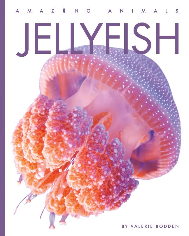 Jellyfish [Paperback]