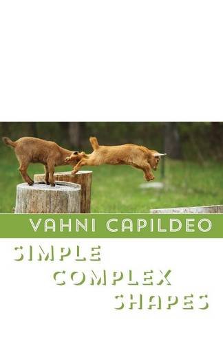 Simple Complex Shapes [Paperback]