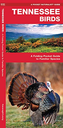 Tennessee Birds: A Folding Pocket Guide to Familiar Species [Pamphlet]