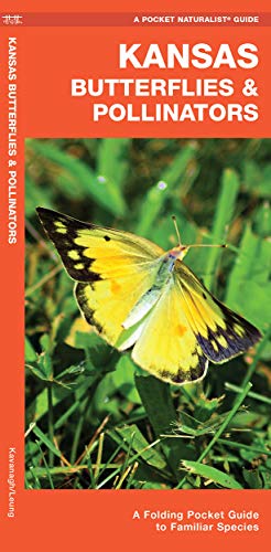 Kansas Butterflies & Pollinators: A Folding Pocket Guide to Familiar Species [Pamphlet]