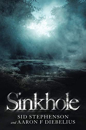 Sinkhole [Paperback]