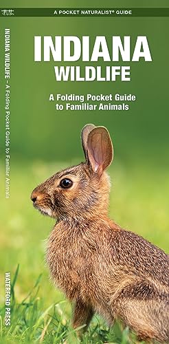 Indiana Wildlife: A Folding Pocket Guide to Familiar Animals [Pamphlet]