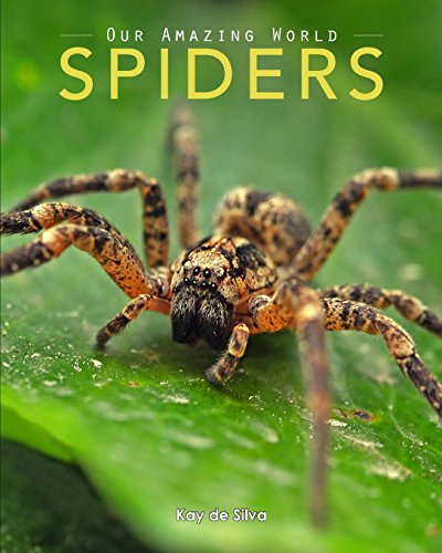 Spiders Amazing Pictures & Fun Facts On Animals In Nature [Paperback]