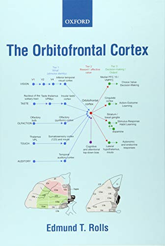 The Orbitofrontal Cortex [Hardcover]