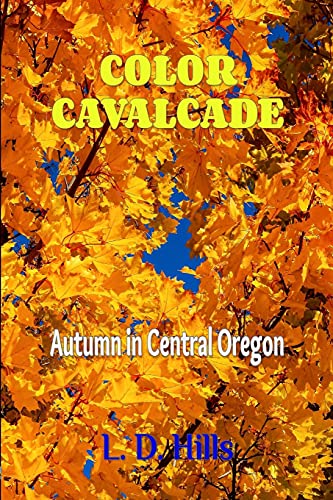 Color Cavalcade