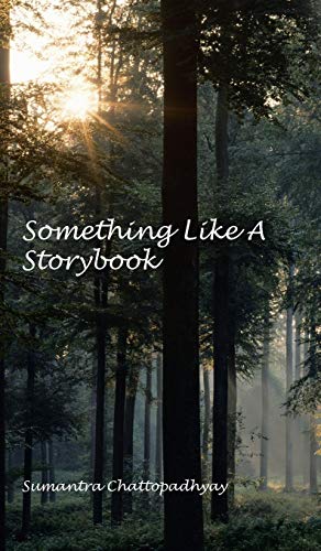 Something Like A Storybook [Hardcover]