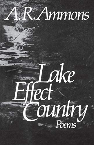 Lake Effect Country Poems [Paperback]