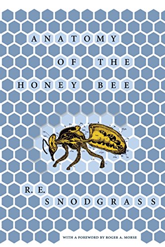 Anatomy Of The Honey Bee (comstock Book) [Paperback]