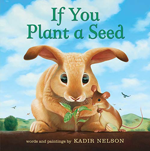 If You Plant a Seed Board Book [Board book]