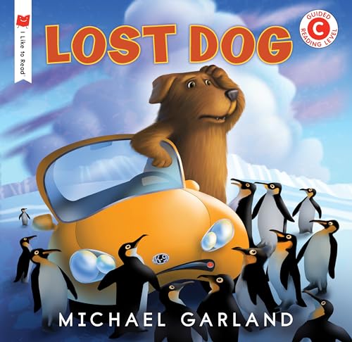 Lost Dog [Paperback]