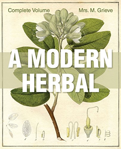 A Modern Herbal [Paperback]