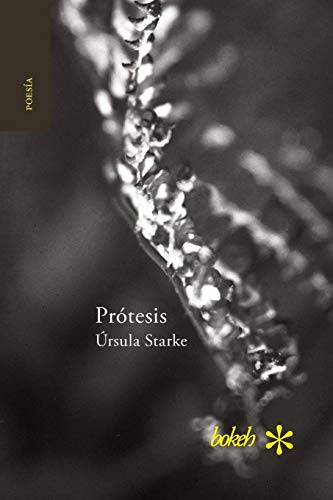 Protesis. Escrituras 2007-2015 (spanish Edition) [Paperback]