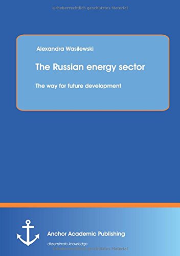 The Russian Energy Sector The Way For Future Development [Paperback]