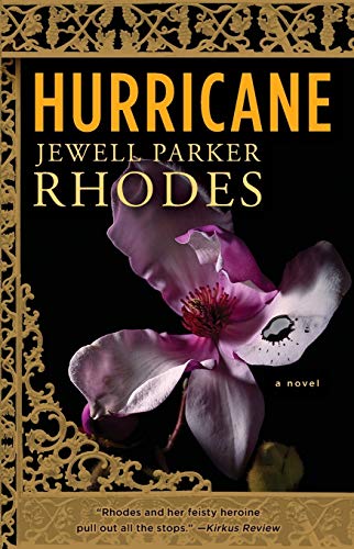 Hurricane A Novel [Paperback]