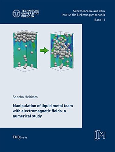 Manipulation Of Liquid Metal Foam With Electromagnetic Fields A Numerical Study [Paperback]