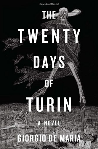 The Twenty Days of Turin: A Novel [Hardcover]