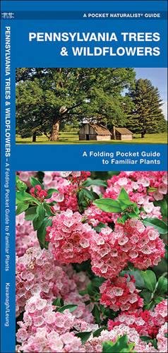 Pennsylvania Trees & Wildflowers: A Folding Pocket Guide to Familiar Plants [Pamphlet]